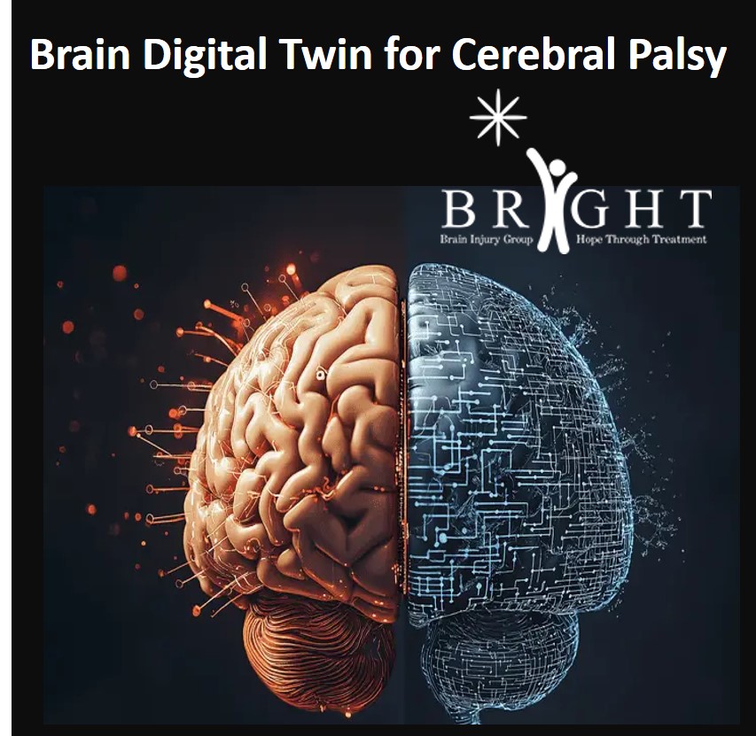 Brain Digital Twin-Bright Foundation